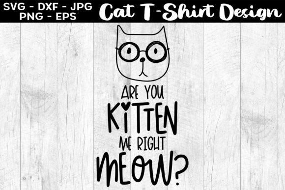 Are You Kitten Me Right Now Cat Shirt