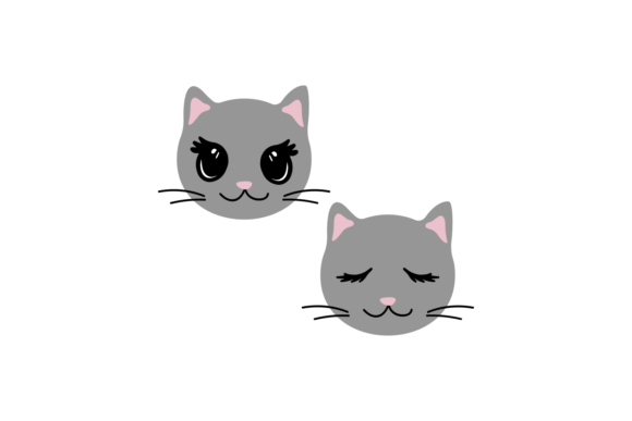 Cute Little Cat